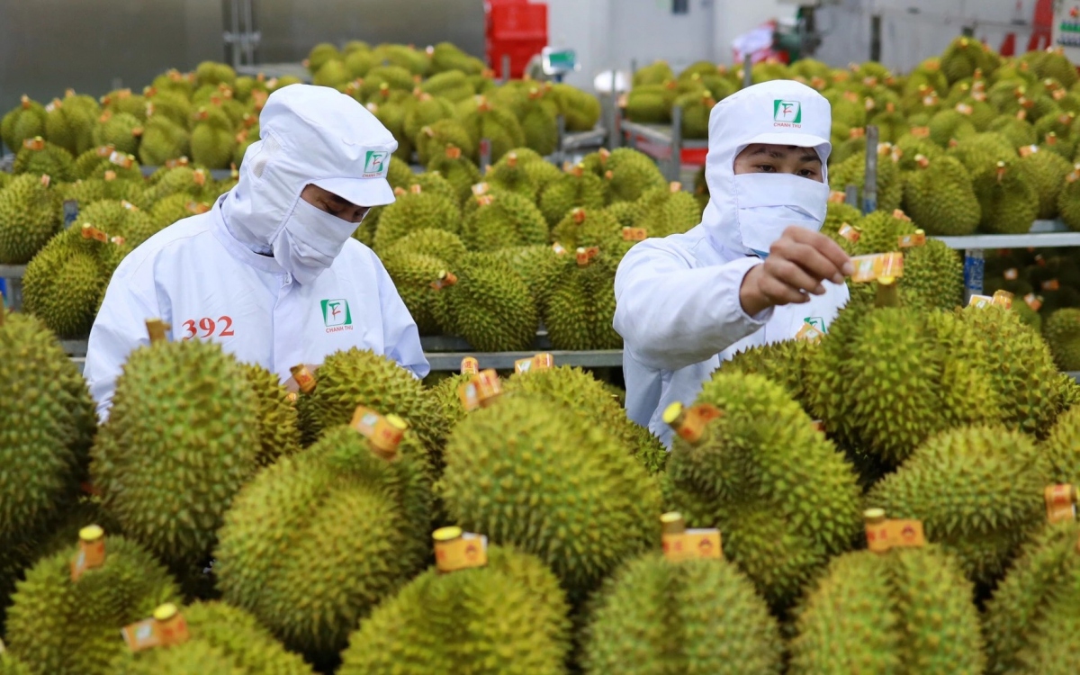 Vietnam sees upsurge in durian exports